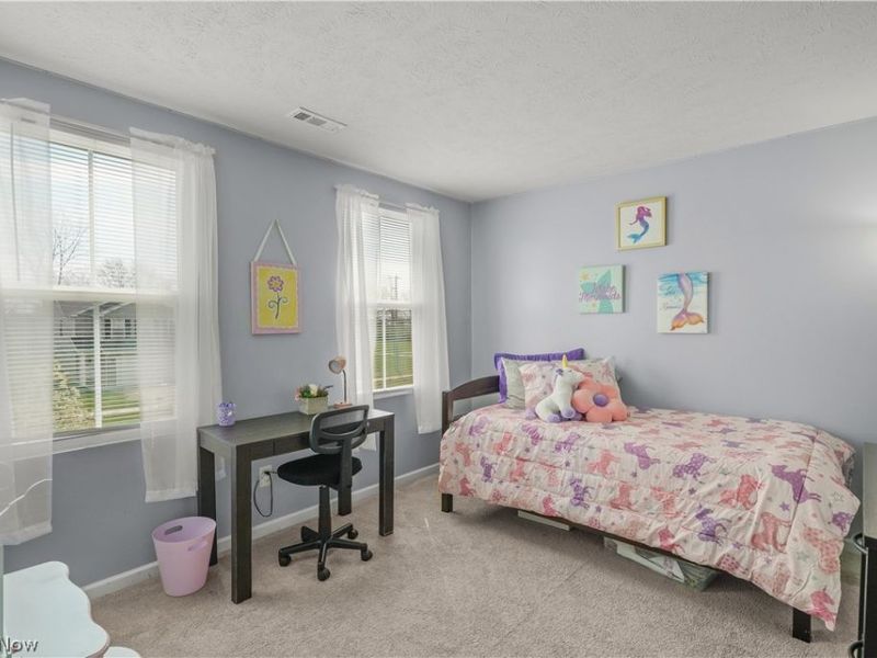 2207 Fowl Road, Elyria, OH 44035 Photo 21