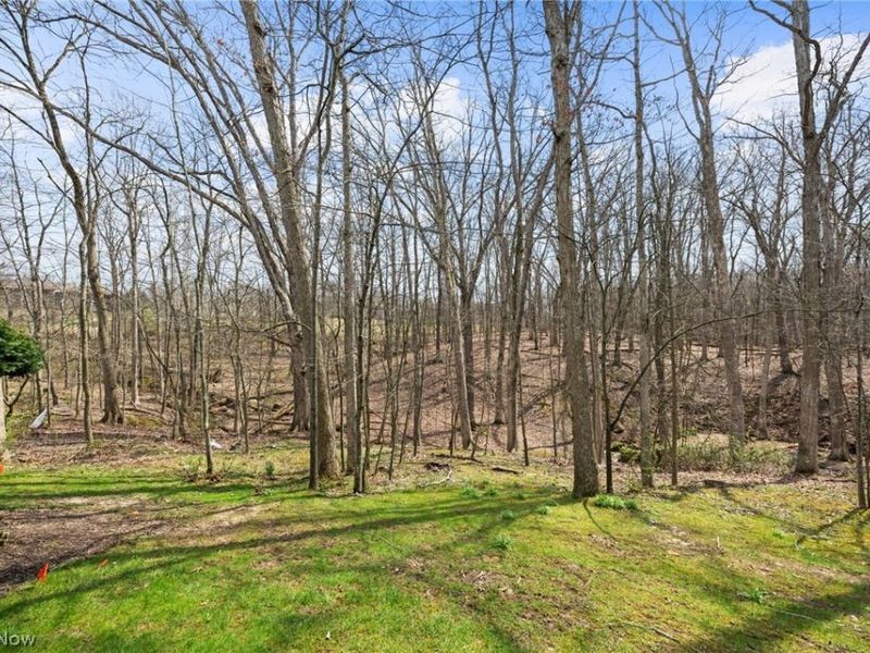 7357 Trailside Drive, Unit C, Northfield, OH 44067 Photo 15