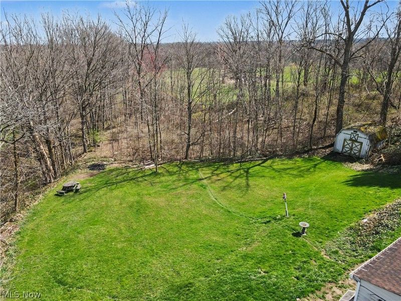 16790 Main Market Road, West Farmington, OH 44491 Photo 4