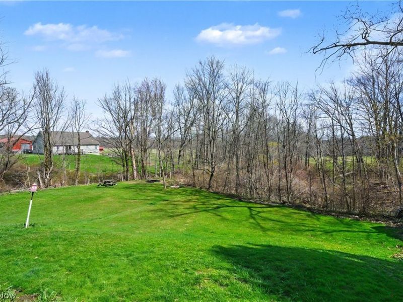 16790 Main Market Road, West Farmington, OH 44491 Photo 45