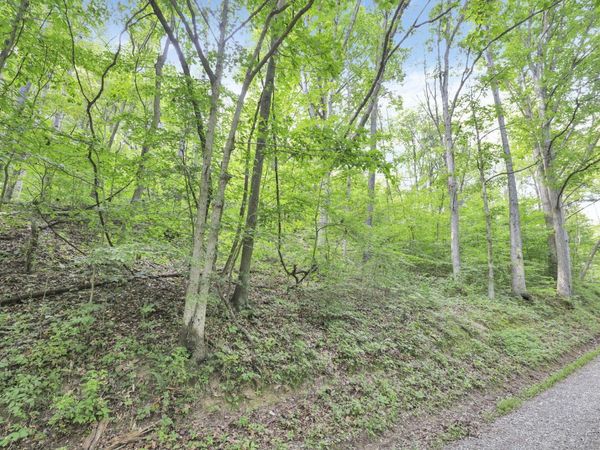 0 Lot #1 Thad Hall Road , Laurelville, OH 43135