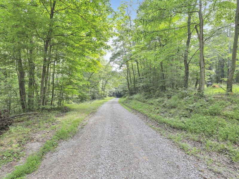 0 Lot #1 Thad Hall Road , Laurelville, OH 43135 Photo 10