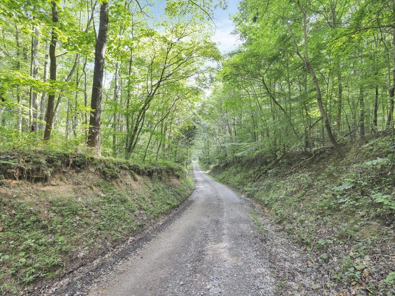 0 Lot #1 Thad Hall Road , Laurelville, OH 43135 Photo 11