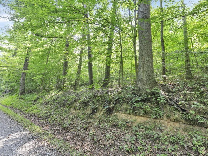 0 Lot #1 Thad Hall Road , Laurelville, OH 43135 Photo 13