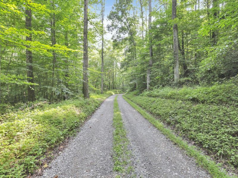 0 Lot #1 Thad Hall Road , Laurelville, OH 43135 Photo 14