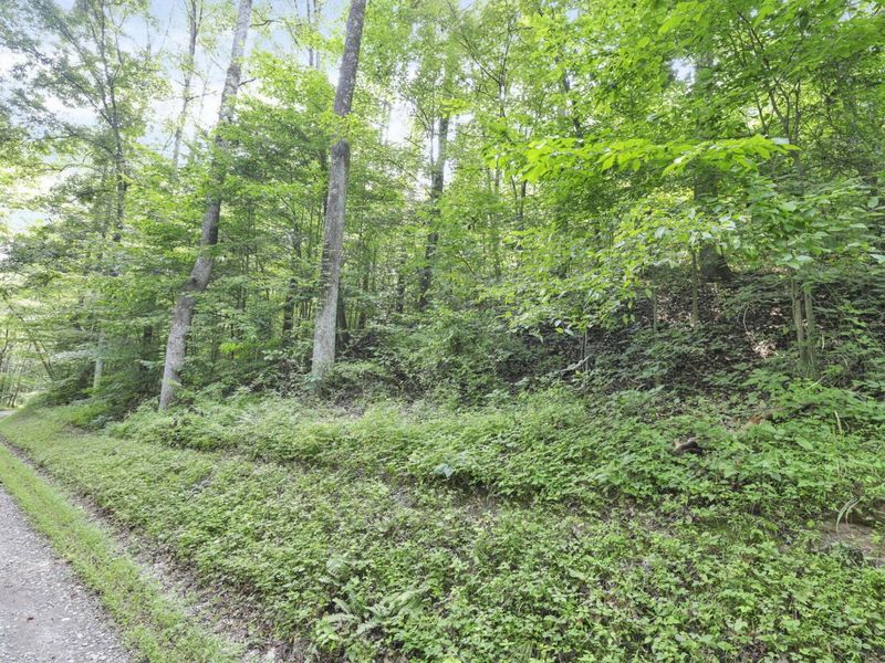 0 Lot #1 Thad Hall Road , Laurelville, OH 43135 Photo 15