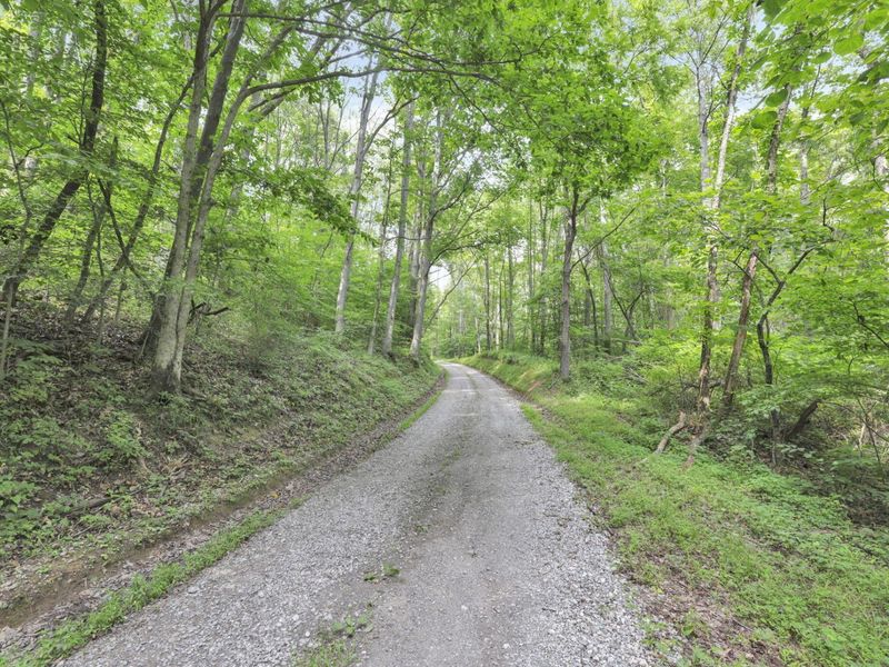 0 Lot #1 Thad Hall Road , Laurelville, OH 43135 Photo 16