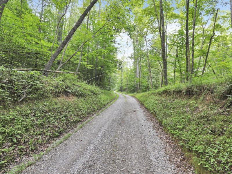 0 Lot #1 Thad Hall Road , Laurelville, OH 43135 Photo 2