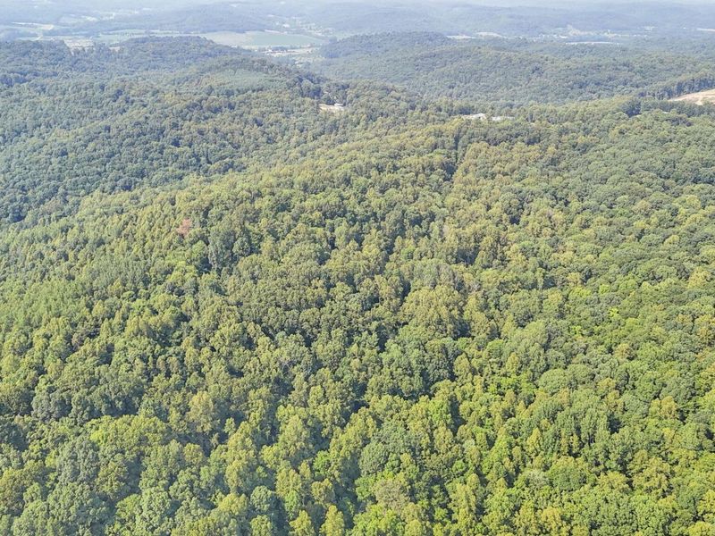 0 Lot #1 Thad Hall Road , Laurelville, OH 43135 Photo 28