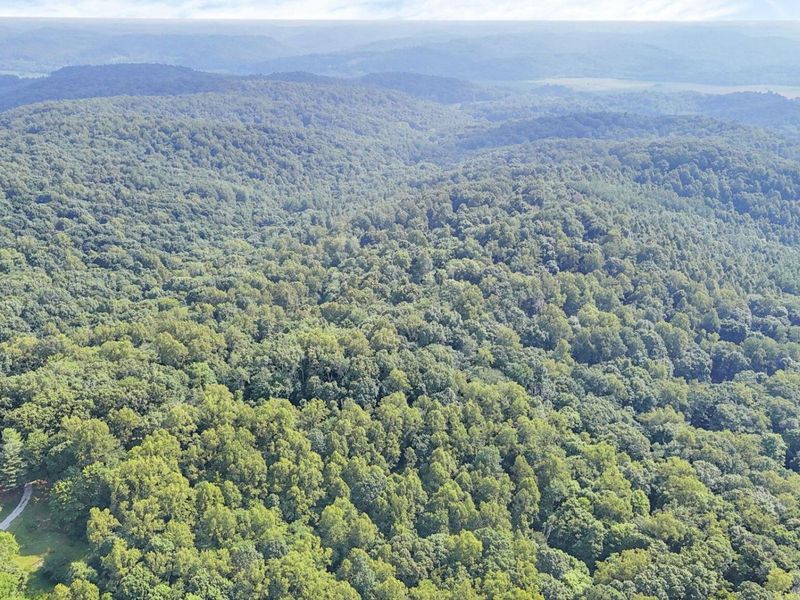 0 Lot #1 Thad Hall Road , Laurelville, OH 43135 Photo 29