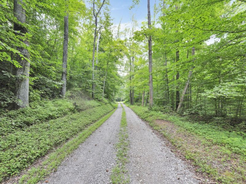 0 Lot #1 Thad Hall Road , Laurelville, OH 43135 Photo 3