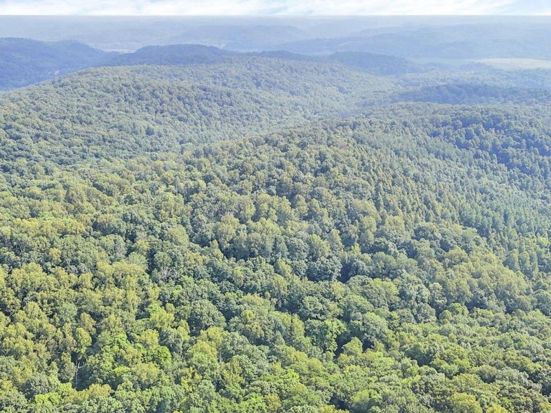 0 Lot #1 Thad Hall Road , Laurelville, OH 43135 Photo 30