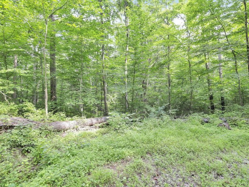 0 Lot #1 Thad Hall Road , Laurelville, OH 43135 Photo 4