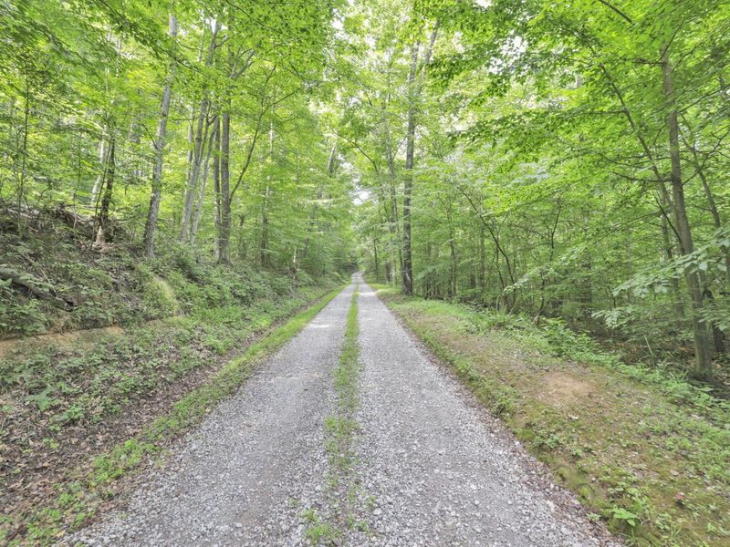 0 Lot #1 Thad Hall Road , Laurelville, OH 43135 Photo 5