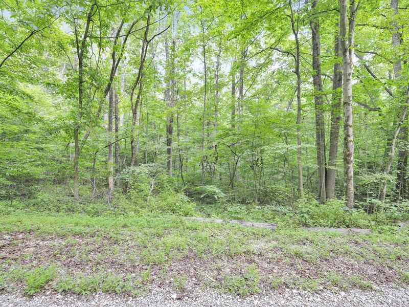 0 Lot #1 Thad Hall Road , Laurelville, OH 43135 Photo 6