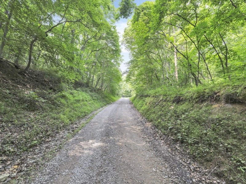 0 Lot #1 Thad Hall Road , Laurelville, OH 43135 Photo 7