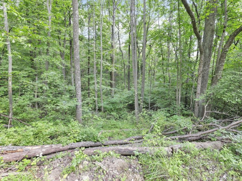 0 Lot #1 Thad Hall Road , Laurelville, OH 43135 Photo 8