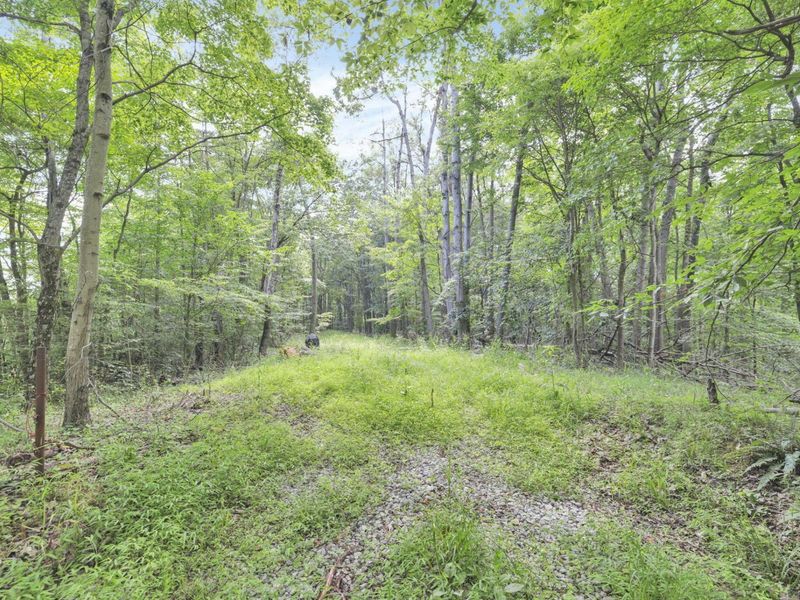 0 Lot #1 Thad Hall Road , Laurelville, OH 43135 Photo 9