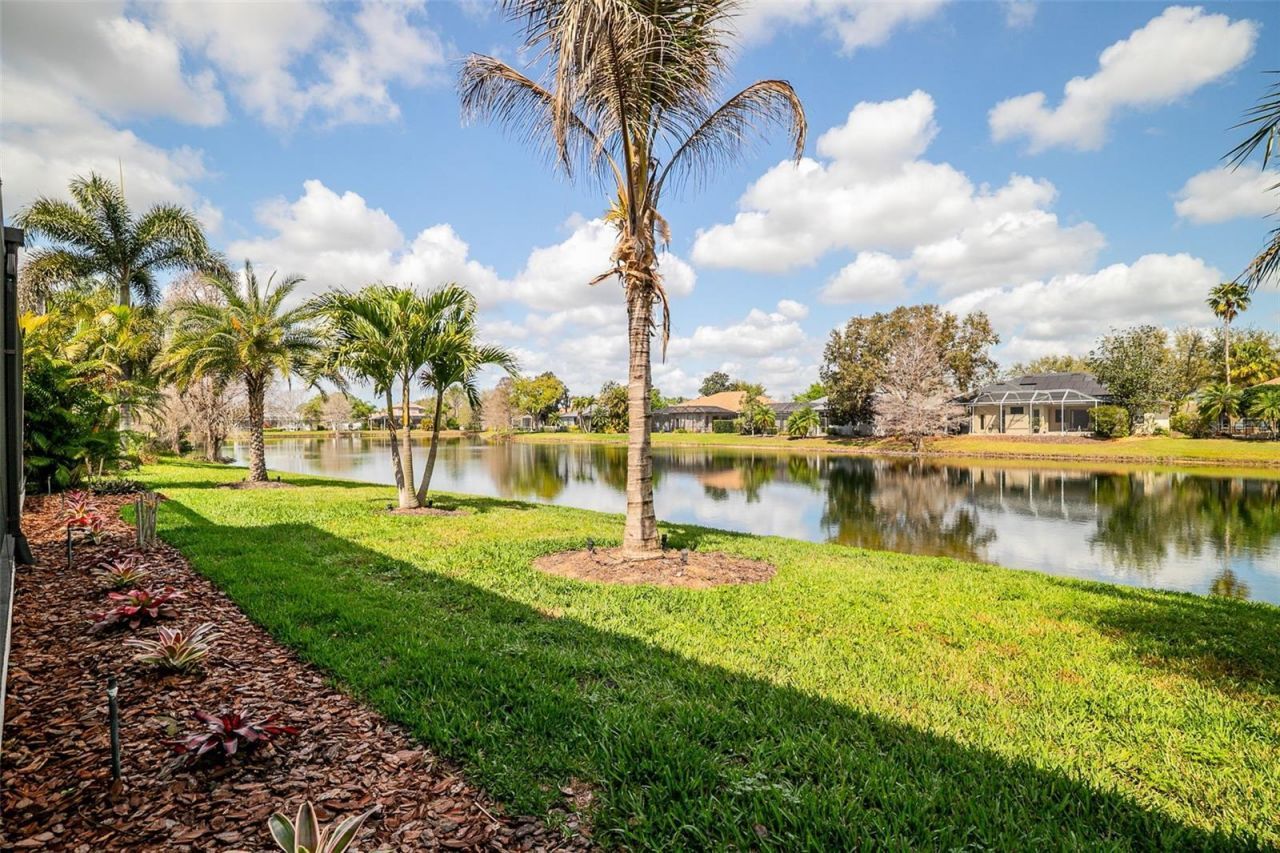 13339 Swallowtail Drive, Lakewood Ranch, FL 34202 Photo