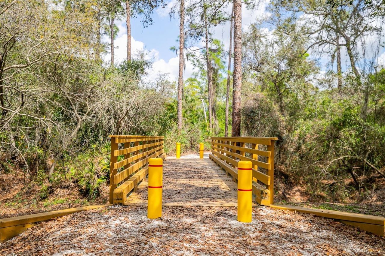 13339 Swallowtail Drive, Lakewood Ranch, FL 34202 Photo