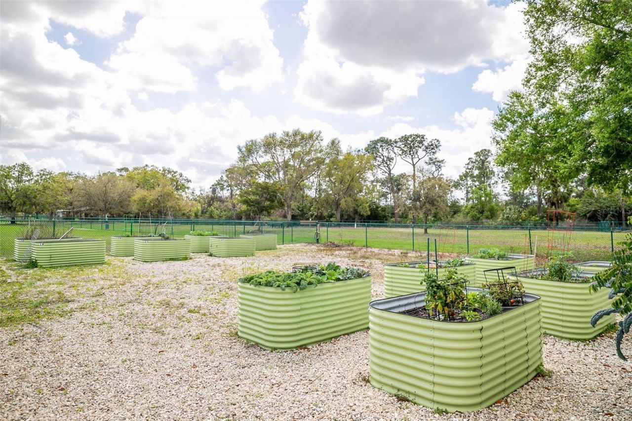 13339 Swallowtail Drive, Lakewood Ranch, FL 34202 Photo