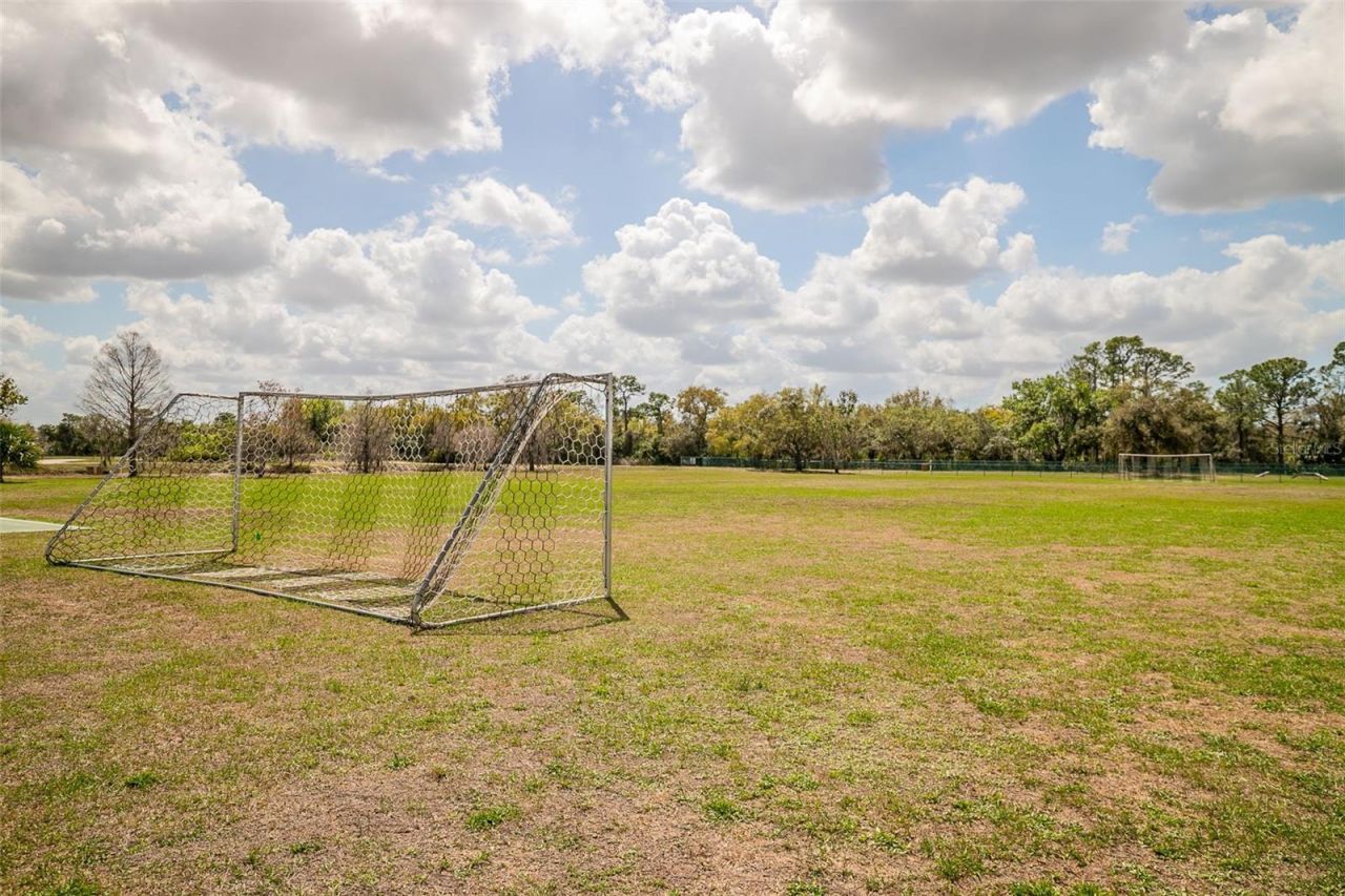 13339 Swallowtail Drive, Lakewood Ranch, FL 34202 Photo