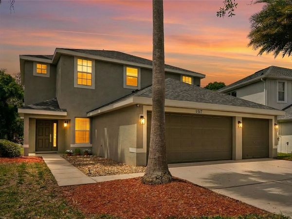 9317 MANDRAKE COURT, TAMPA, FL 33647