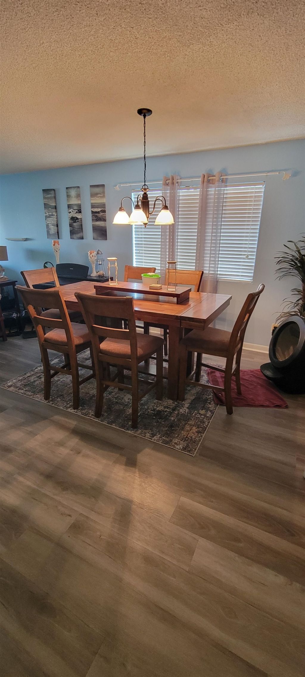 250 Maison Dr. Photo 21