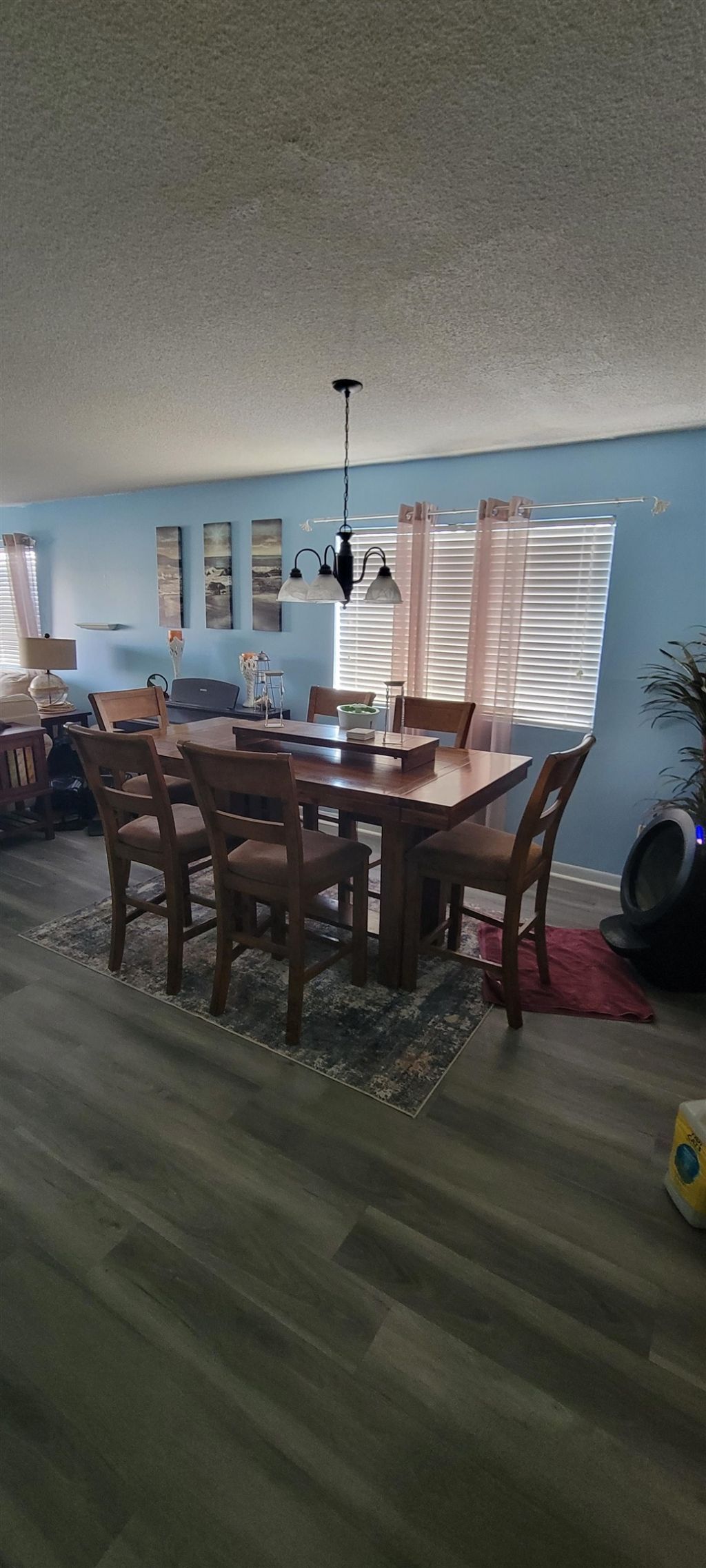 250 Maison Dr. Photo 22