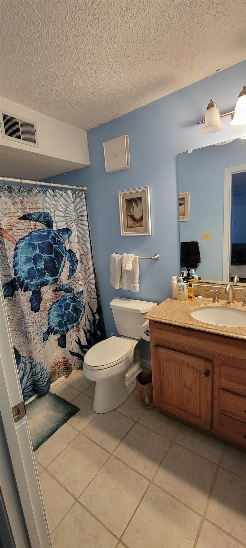 250 Maison Dr. Photo 9