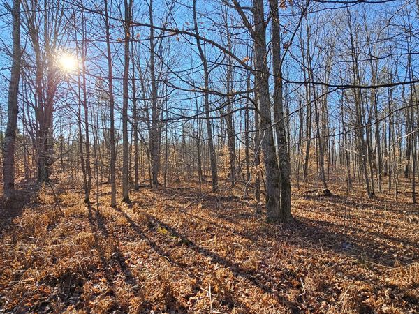 1621 Baker Road NE, Kalkaska, MI 49646