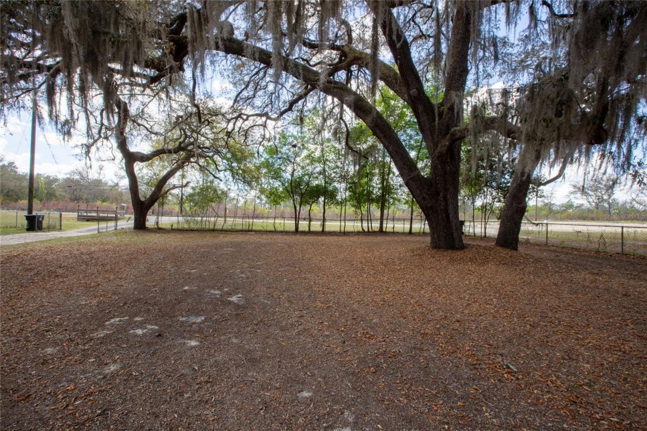 5921 County Road 352 , Keystone Heights, FL 32656 Photo