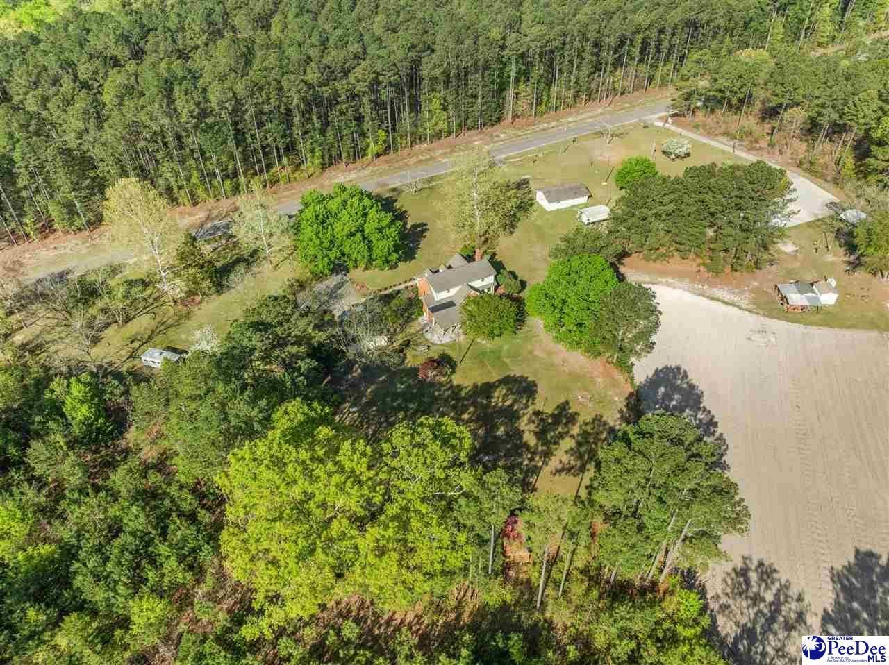 289 Bullard Ford Rd Photo 41