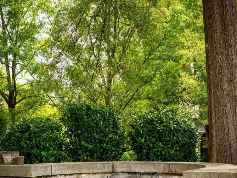 Property Image 52