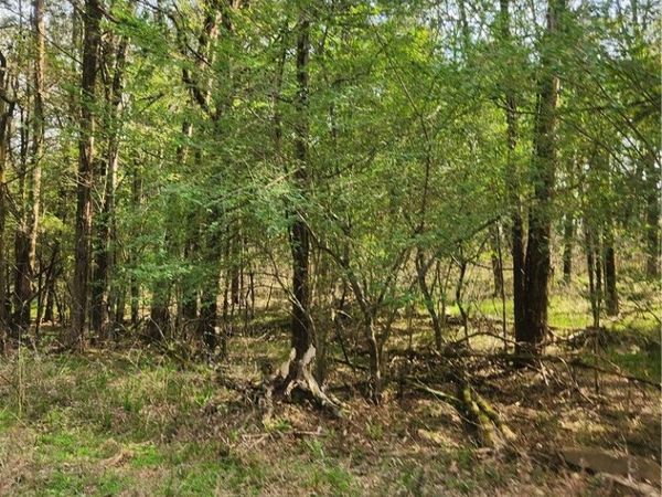 Lakeview , Ozark, AR 72847