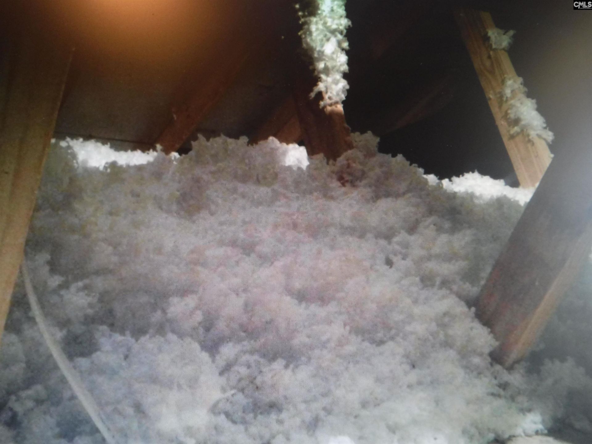 145 Dew Blossom Drive Photo 31