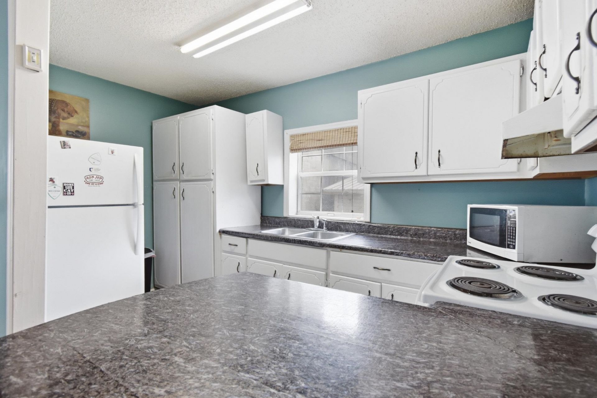 133 SW Monroe Avenue , Mayo, FL 32066 Photo