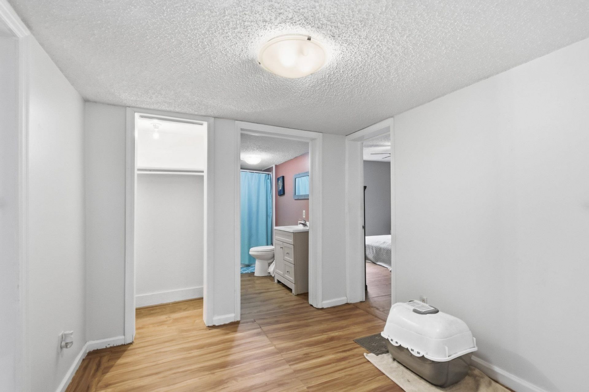 133 SW Monroe Avenue , Mayo, FL 32066 Photo