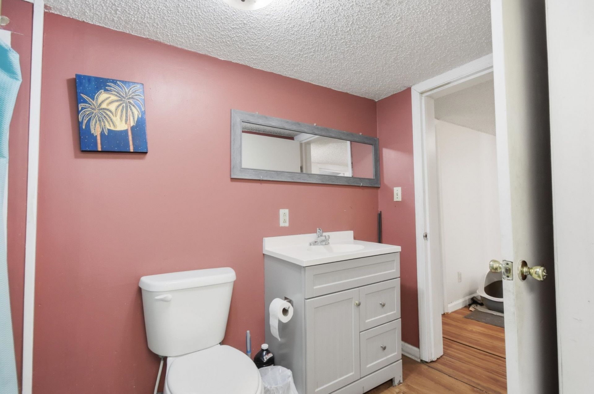 133 SW Monroe Avenue , Mayo, FL 32066 Photo