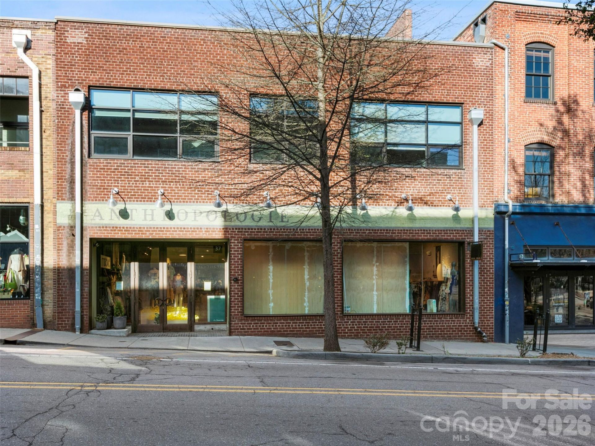 19 Rankin Avenue, Unit 1B, Asheville, NC 28801