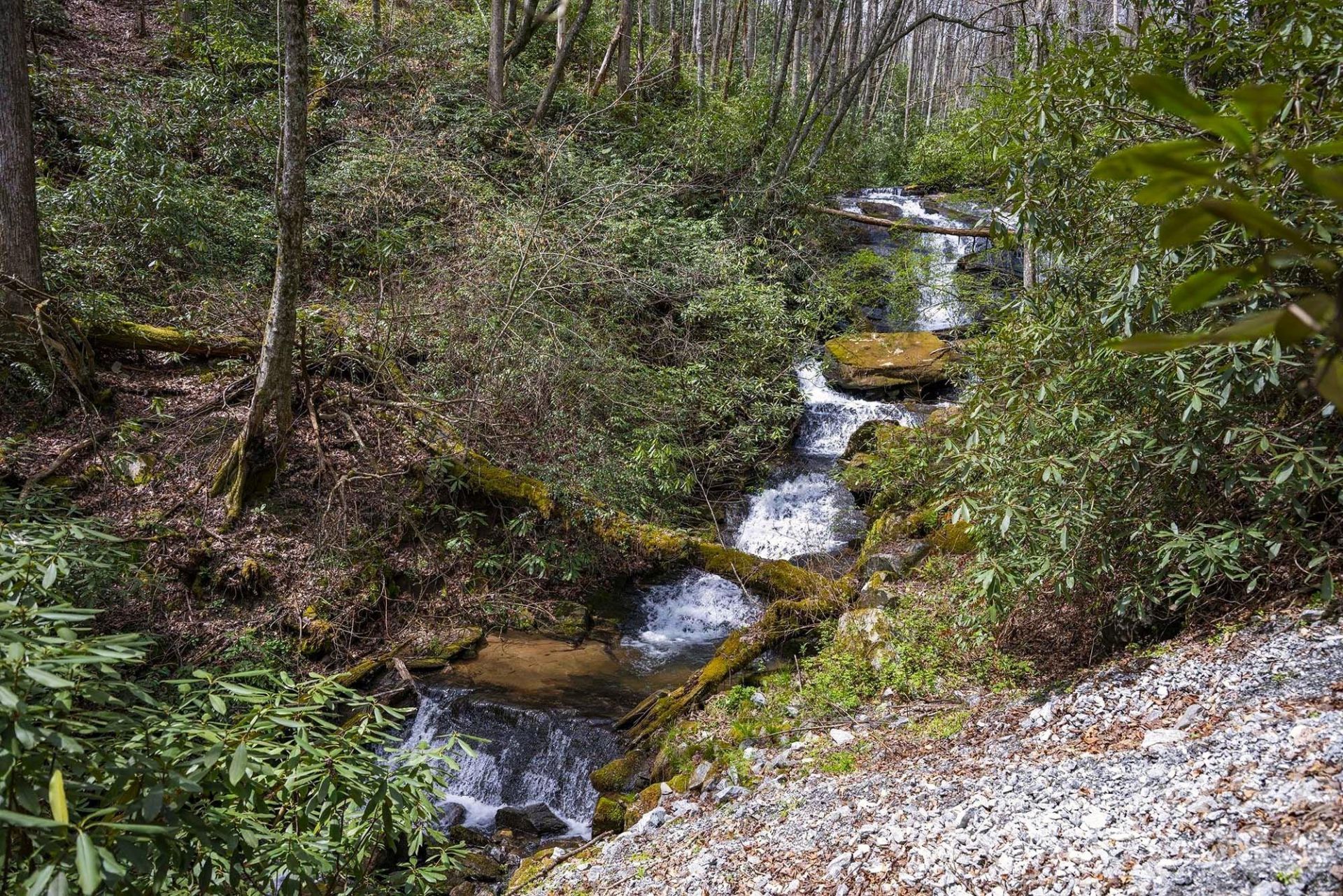 0 Diamond Creek Road, Rosman, NC 28772 Main Photo