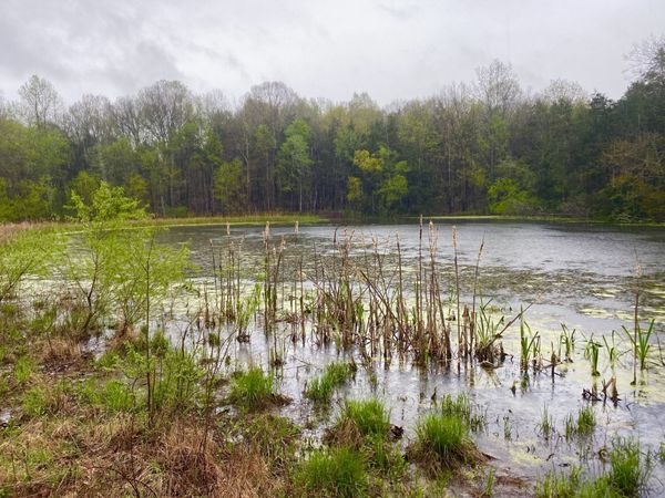 0 Hwy 64 Arnold Rd E, Wartrace, TN 37183