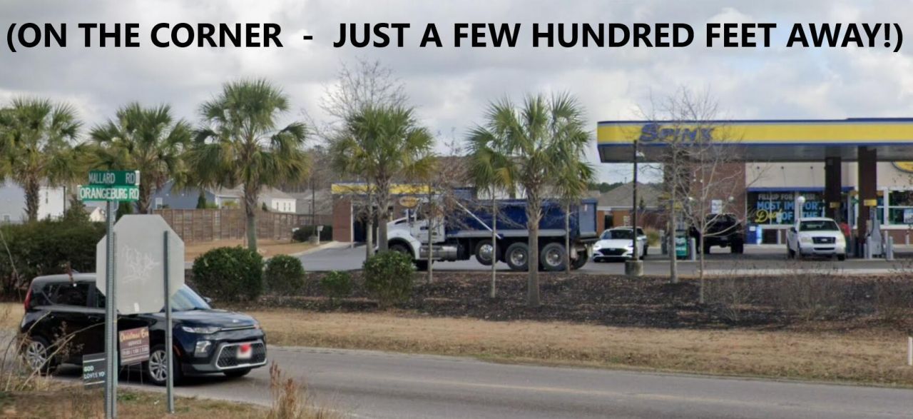 1329 Orangeburg Road Photo 15