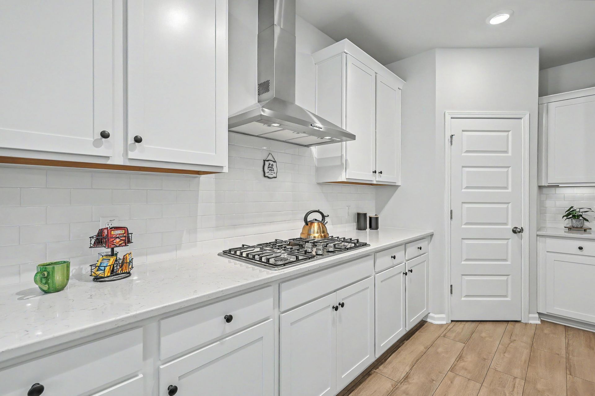 1152 Kane Blue Run Photo 13