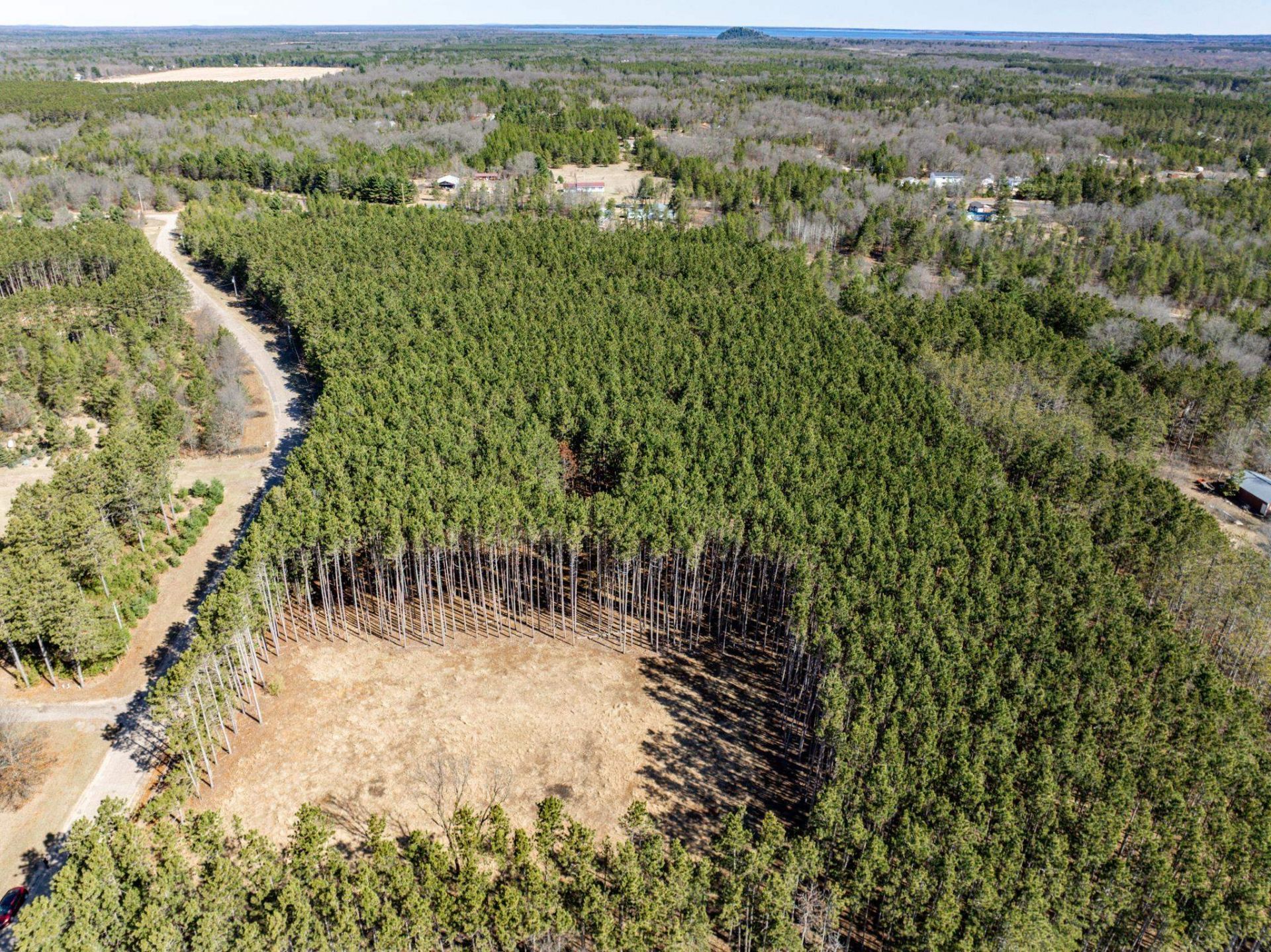 N9990 Pine Cone Court, Necedah, WI 54646 Main Photo