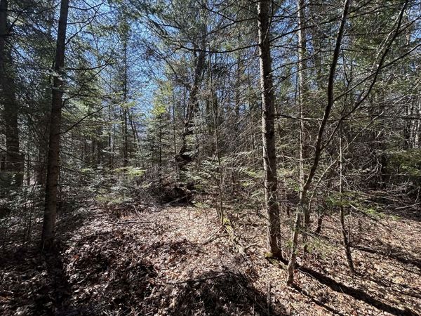 2.5 AC S Gerber Road, Mio, MI 48647