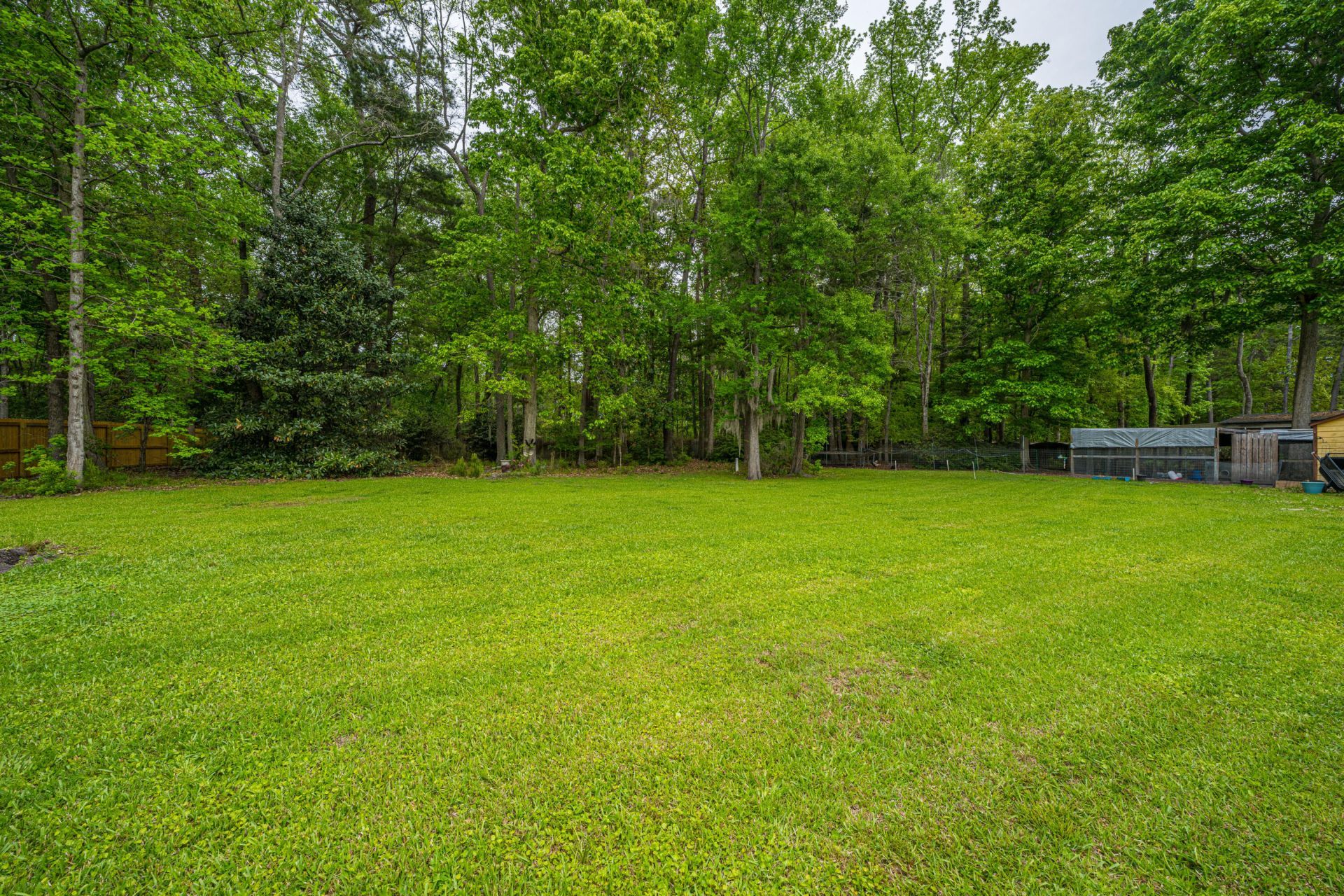 106 Lee Street Photo 52