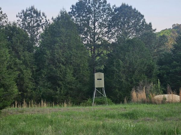 8200 Owls Hollow Road, Gadsden, AL 35901