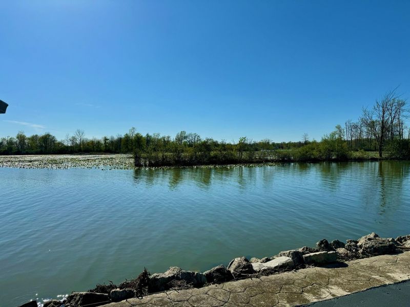 10635 Township Road 293, Lakeview, OH 43331 Photo 39