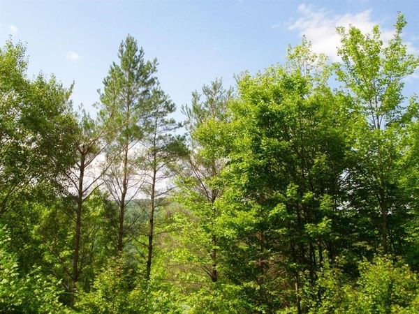 John B Hewitt Spur , Roxbury, NY 12421